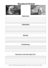 Eisbär-Steckbriefvorlage-sw-3.pdf